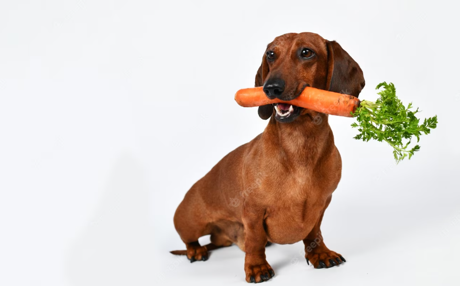 limpieza de-dientes para perros casera - zanahoria