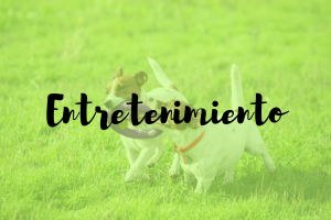 entretenimiento