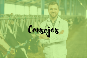 consejos