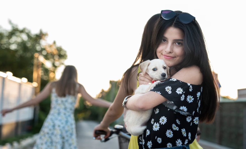 a los cuantos meses se adopta un perro - cachorro feliz