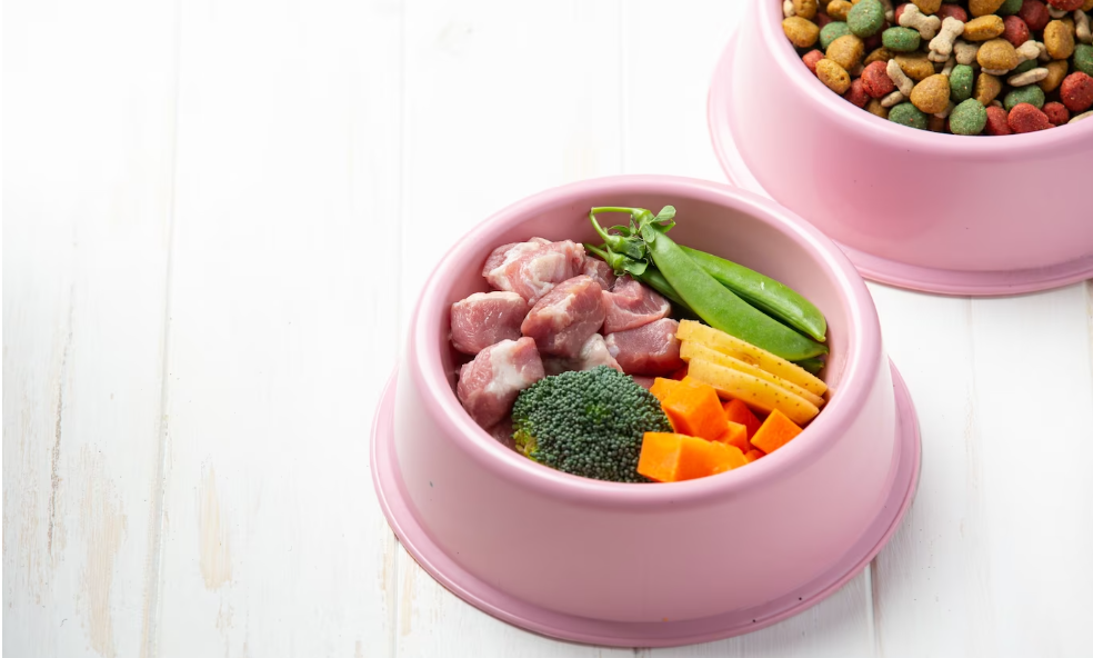 comida de humanos para perros - comida variada