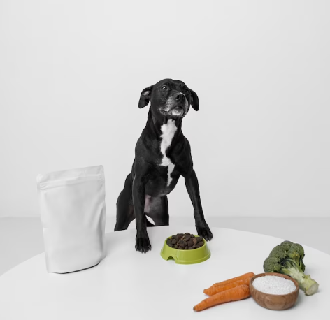 comida de humanos para perros - perro y comida variada