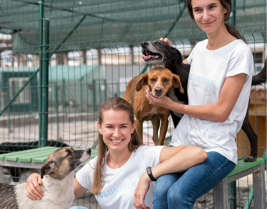 adoptar un perro cuesta dinero - perros felices
