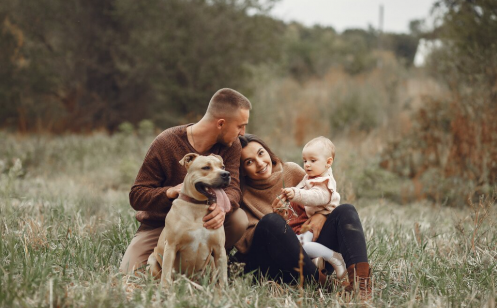 comportamiento de perros con embarazadas - perro en familia